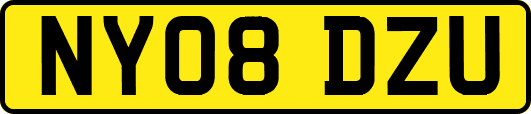 NY08DZU