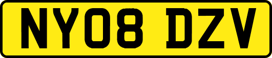 NY08DZV