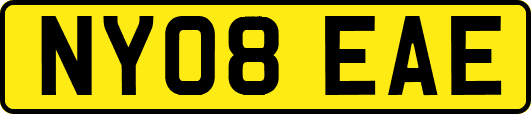 NY08EAE