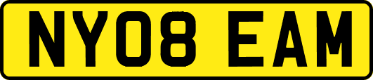 NY08EAM
