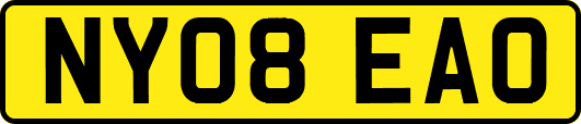 NY08EAO
