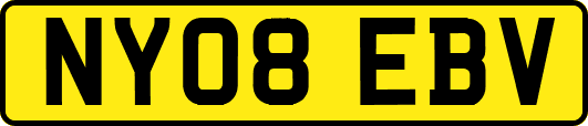 NY08EBV