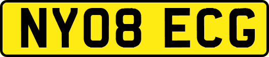 NY08ECG
