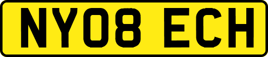 NY08ECH