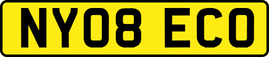 NY08ECO