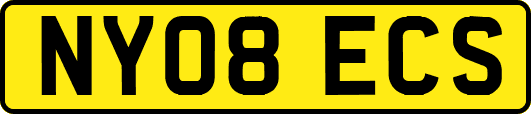 NY08ECS