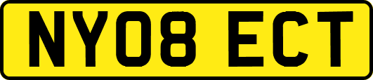 NY08ECT
