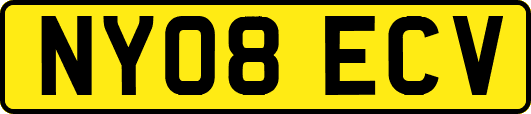 NY08ECV
