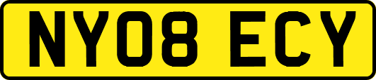 NY08ECY