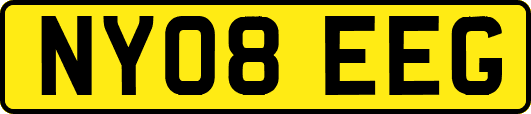 NY08EEG