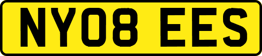 NY08EES