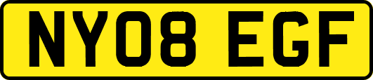 NY08EGF