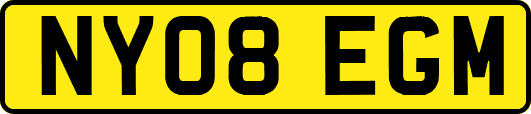 NY08EGM