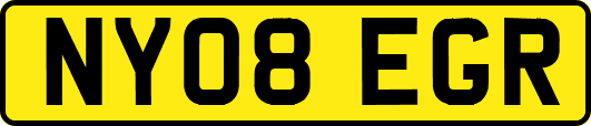 NY08EGR