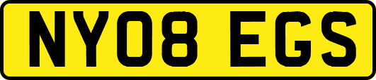 NY08EGS
