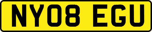 NY08EGU