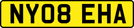 NY08EHA