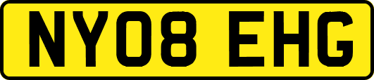 NY08EHG