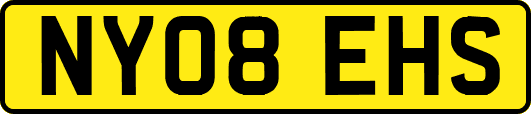 NY08EHS