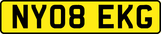 NY08EKG