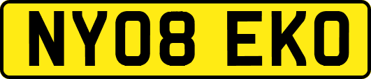 NY08EKO