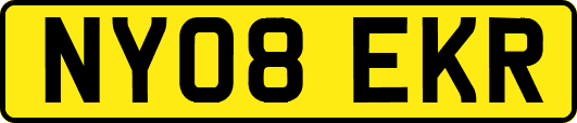 NY08EKR