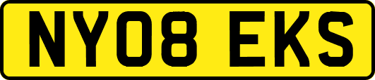NY08EKS