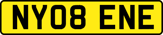 NY08ENE