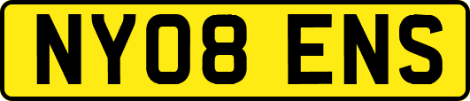 NY08ENS