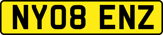 NY08ENZ