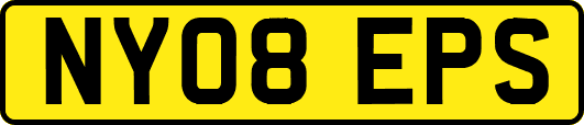 NY08EPS