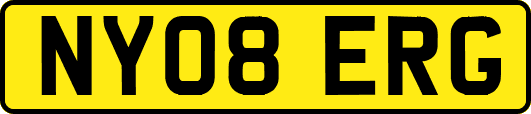 NY08ERG