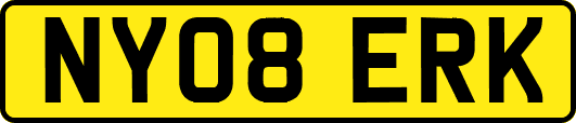 NY08ERK