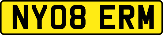 NY08ERM