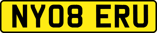 NY08ERU