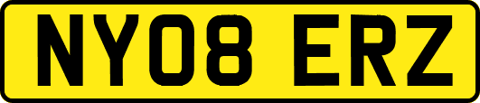 NY08ERZ