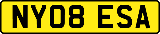 NY08ESA