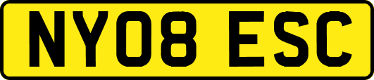 NY08ESC
