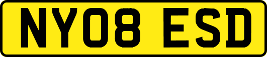 NY08ESD