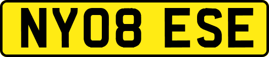 NY08ESE