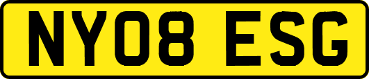 NY08ESG