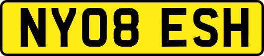 NY08ESH