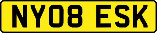 NY08ESK