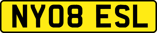 NY08ESL