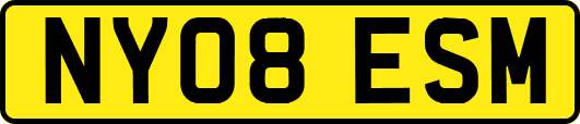 NY08ESM