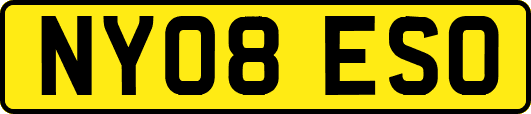 NY08ESO