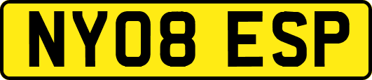 NY08ESP