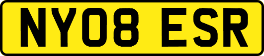 NY08ESR