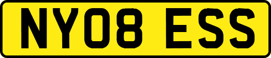 NY08ESS