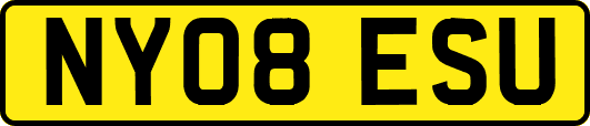 NY08ESU